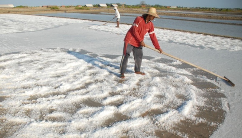 Puli Garam